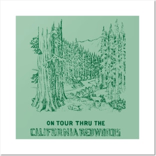 1935 California Redwoods Posters and Art